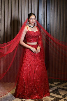 Scarlet Aura Red Net Lehenga
