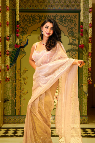 ANSHIKA-Powder White Saree In Orgenza With Sequins Border And Butti