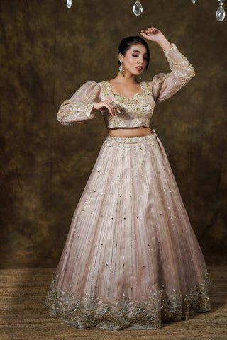 handcrafted lehenga  in Mirror, stone, and Cutdana work with  blouse and Dupatta