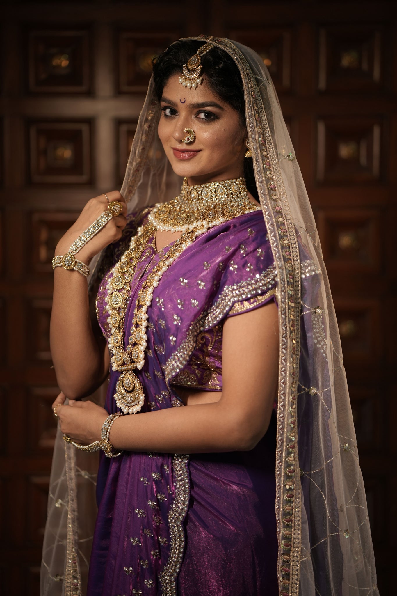 Twilight Sparkle Purple Saree