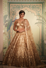 Golden Glow Sequin Lehenga