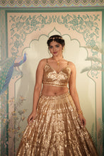 Golden Glow Sequin Lehenga