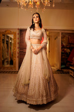 ITRH-  GOLDEN - Net Reception lehenga Embroidered with Pearls .