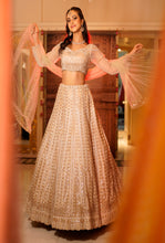 ITRH-  GOLDEN - Net Reception lehenga Embroidered with Pearls .