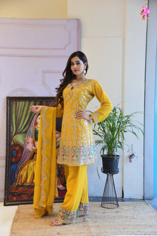 ALISHA -Yellow Silk Kurta set  Mirror Work And Heavy Border .