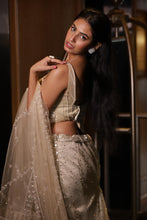 Silver Champagne Sequin Designer Lehenga