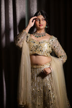 Champagne Sequin Designer Lehenga Choli