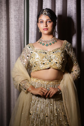 Champagne Sequin Designer Lehenga Choli