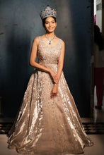 Cadenza   GOLD Embroidered Golden Gown In Orgenza With Sequins And Cutdana Work.