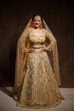 AISHA - GOLD Embroidered  Lehenga In Net With Sequins And Cutdana Work.