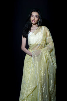 ANYA- Pista Green Tissue Saree With Scallop Work Border
