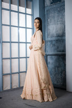 ALICA - Peach Pink long Anarkali with sequence and with dupatta with border.